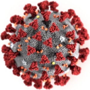 This illustration, created at the Centers for Disease Control and Prevention (CDC), reveals ultrastructural morphology exhibited by the 2019 Novel Coronavirus (2019-nCoV)